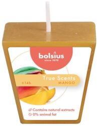 Bolsius Bolsius Polska Sprzedaż sp. z o. o. Ароматна свещ Bolsius Aromatic 2.0 48 мм, Манго
