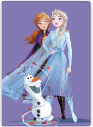  Disney Jégvarázs Purple polár takaró 100x140cm (BRM014183) - aprotalpak