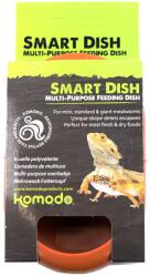 Komodo Tál Élő Eledel Tál Kétéltű Hüllők Számára Terrárium