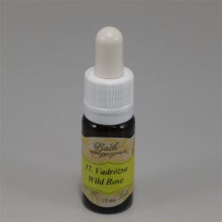 Bach vadrózsa 10 ml