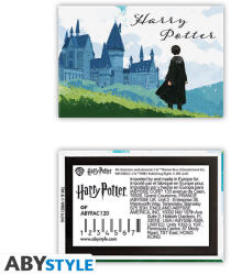 ABYstyle Harry Potter hűtőmágnes Harry & Hogwarts (ABYMGN041)