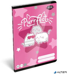 LIZZY Füzet, tűzött, A5, vonalas, 32 lap, 4-8. osztály, LIZZYSULI, "Kit tok Stars Purrfect", "21-32 (7500170002) - alter