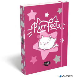 LIZZYSULI Füzetbox, A5, LIZZYSULI, "Kit tok Stars Purrfect (7470217002)