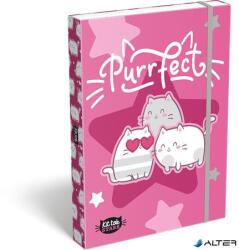 LIZZY Füzetbox, A4, LIZZYSULI, "Kit tok Stars Purrfect (7470216002) - alter