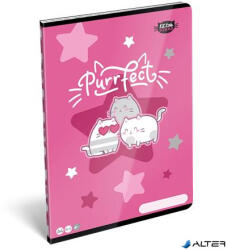 LIZZY Füzet, tűzött, A4, kockás, 32 lap LIZZYSULI, "Kit tok Stars Purrfect (7500165001) - alter