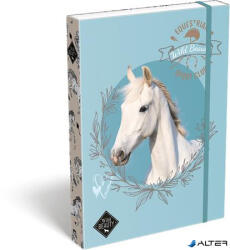 LIZZY Füzetbox, A4, LIZZYSULI, "Wild Beauty, Sport Club (7470216004) - alter