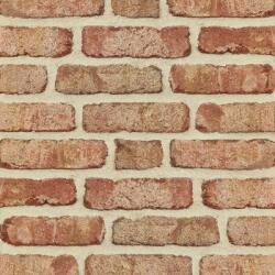 Roben Caramida Klinker Moorbrand Retro, argila multicolor, NF (240x115x71 mm) (ROB-MOORBRAND-RE-LEHM)