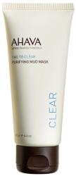 Ahava Ingrijre Ten Purifying Mud Mask Masca 100 ml Masca de fata