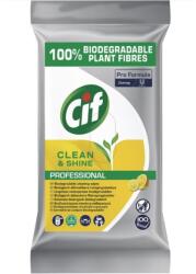 Flippy CIF Professional Clean&Shine - Servetele Umede de Curatare Multifunctionale Biodegradabile, 100 Servetele (165867)