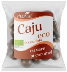 Pronat Foil Pack Nuci caju bio glazurate in ciocolata cu lapte cu aroma de caramel sarat 50 g