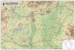  Magyarország domborzata és vizei falitérkép 125*90 cm - vízálló, szakadás álló (+ választható léc)