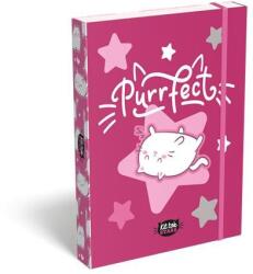 LIZZY Füzetbox, A5, LIZZYSULI, "Kit tok Stars Purrfect (TICLFBKSA5) - primatinta