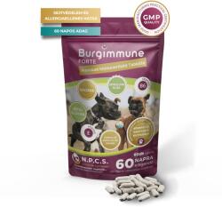 Natural Pet Care System Burgimmune Forte Premium Tablete pentru stimularea imunității la câini 60 tablete