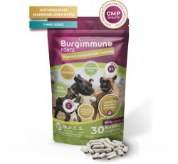Natural Pet Care System Burgimmune Forte Premium Tablete pentru stimularea imunității la câini 30 tablete