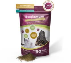 Natural Pet Care System Burgimmune pulbere pentru întărirea sistemului imunitar la câini și pisici 45 g