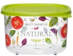 Herevin Cutie pentru Alimente, din Plastic, cu Capac, Diverse Culori, 4.20 l, Herevin (HR162058)