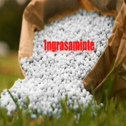 Loredo Uree sac 40 kg, ingrasamant