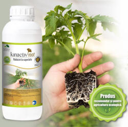 Sumi Agro Kinactiv Root 1 L biostimulator inradacinare cu aminoacizi si microelemente, radicular sistemic, Summit Agro, produs Bio/ ecologic