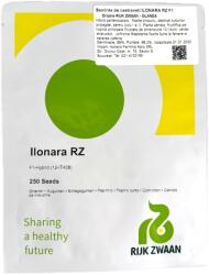 Rijk Zwaan Seminte castraveti Ilonara RZ F1 250 seminte