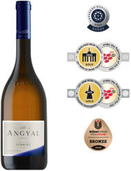 Angyal Borászat Üzenet Top Selection Furmint 2024 (0, 75l)