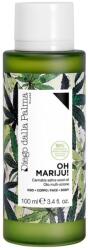 Diego dalla Palma Milano Ingrijire Ten Cannabis Sativa Seed Oil - Face And Body Ulei Fata 100 ml