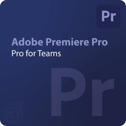 Adobe Premiere Pro for teams + Adobe Stock standard assets 1 - 9 User (65324793CA01A12)