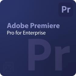 Adobe Premiere Pro for Enterprise Gouvernment (GOV) 10 - 49 User (30002781CC02A12)