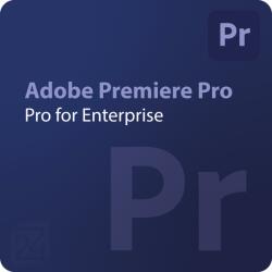 Adobe Premiere Pro - Edition 4 for Enterprise 1 - 9 User (65324945CA01A12)