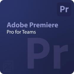 Adobe Premiere Pro for Teams Gouvernment (GOV) 10 - 49 User (30003019CC02A12)