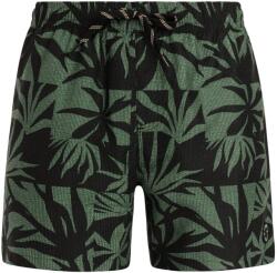 Protest Мъжки бански слипове Protest PRTPanther Swim brief - True Black (050-2387-0314)