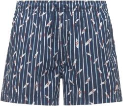 K-Way Мъжки бански слипове K-Way Hazel Graphic Beach Swim brief - Graphic Surf and Stripes (050-2433-0412)