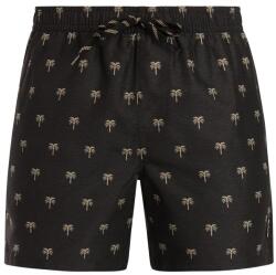 Protest Мъжки бански слипове Protest PRTMascot Swim brief - True Black (050-2385-0112)