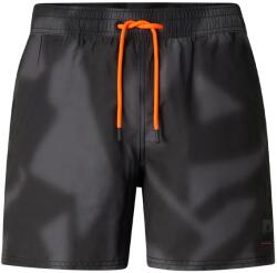 Bogner Fire+Ice Мъжки бански слипове Bogner Fire+Ice Nelson2 Swim brief - Iron - размер 52 (EU) (050-2249-0514)
