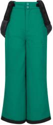 ZIG ZAG Детски ски панталон ZIG ZAG Kid's Soho Ski Pant W-Pro 10000 Ski trousers - Alpine Green - размер 98/104 (701-3343-0212)