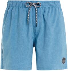 Protest Мъжки бански слипове Protest PRTDavey Swim brief - River Blue (050-0836-1212)