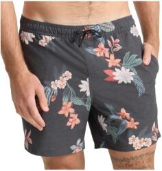 Roark Мъжки бански слипове Roark Shorey Swim brief - Onyx - размер L (050-2253-0213)