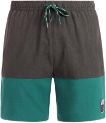 Protest Мъжки бански слипове Protest PRTCabus Swim brief - Dark Teal (050-2380-0114)