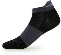 Icebreaker Дамски чорапи за бягане Icebreaker Women's Merino Run+ Ultralight Micro Running socks - Black / Graphite - размер 35-37 (EU) (201-8167-0111)