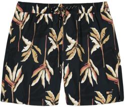 Barts Мъжки бански слипове Barts Fervis Shorts Swim brief - Dark Grey (050-2365-0111)