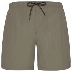 Protest Мъжки бански слипове Protest PRTFaster Boardshorts - Grey Green (050-0838-0312)
