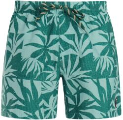 Protest Мъжки бански слипове Protest PRTPanther Swim brief - Tourmaline Blue (050-2387-0213)