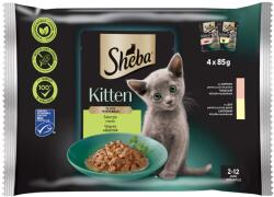 Sheba Kitten alutasakos nedves macskaeledel Lazaccal 4x85g