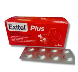  Exitel Exitel Plus Flavour Dog, 1 comprimat