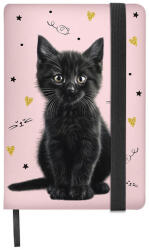 Paso Cicás jegyzetfüzet A5/96 lap - Black Cat (PP26BC-3683) (PP26BC-3683)