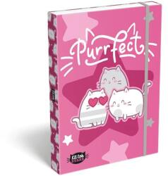  Füzetbox A4 lapos gumizáródás "Stars Purrfect" TICLFBKSA4 (TICLFBKSA4)