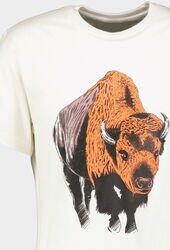 Pegas TRICOU ZIMBRU (tpg23zimbr-ivo-s)