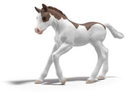 Schleich Mânz Dipper de colecție (OLP102681459) Figurina