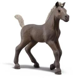 Schleich Mânz colectibil Darcy (OLP102681460) Figurina