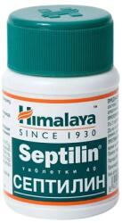 Himalaya Septilin Pentru imunitate bună, 40 tablete, Himalaya