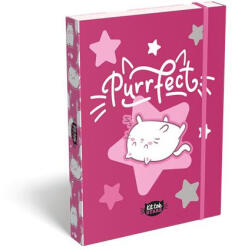 LIZZY Füzetbox, A5, LIZZYSULI, "Kit tok Stars Purrfect (TICLFBKSA5) - tintasziget